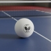 Bolinha De T&ecirc;nis De Mesa Ping Pong Butterfly 40+ 6 Un