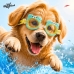 Óculos De Natação Infantil Speedo Splash Club 3 A 10 Anos Dog