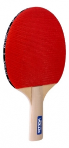 2x Raquetes Ping Pong Leisure 6 Bolas 1 Star + Rede Alicate