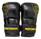 Luva Mma Bate Saco Sparring Hybrid Pretorian + Bolsa