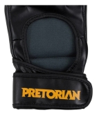 Luva Mma Elite Training Pretorian + Bolsa