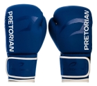 Luva Para Boxe Muay Thai First Fx2 Pretorian + Bolsa