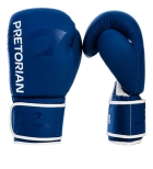 Luva Para Boxe Muay Thai First Fx2 Pretorian + Bolsa