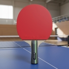 Raquete Tênis De Mesa Butterfly Rdj Cs1 Penhold Profissional