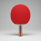 Raquete Tênis De Mesa Butterfly Dimitrij Ovtcharov Rdj S3 Profissional