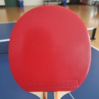 Raquete Tênis De Mesa Butterfly Dimitrij Ovtcharov Rdj S3 Profissional