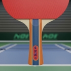 Raquete Tênis De Mesa Butterfly Dimitrij Ovtcharov Rdj S3 Profissional