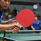 Raquete Tênis De Mesa Butterfly Dimitrij Ovtcharov Rdj S3 Profissional