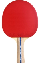 Raquete Tenis De Mesa Butterfly Profissional Lin Yunju -1