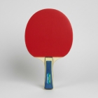 Raquete De Tênis De Mesa Butterfly Wakaba 1000 Profissional