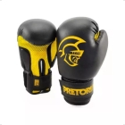 Kit Boxe Muay Thai Infantil Saco De Pancada + Luva Pretorian
