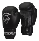 Kit Boxe Muay Thai Infantil Saco De Pancada + Luva Pretorian