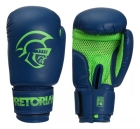 Kit Boxe Muay Thai Infantil Saco De Pancada + Luva Pretorian