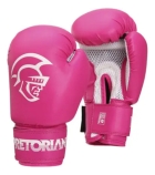 Kit Boxe Muay Thai Infantil Saco De Pancada + Luva Pretorian