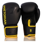 Kit Boxe E Muaythai Bandagem + Luva + Protetor Pretorian Fx2