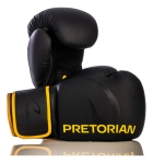 Kit Boxe E Muaythai Bandagem + Luva + Protetor Pretorian Fx2