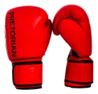 Kit Boxe E Muaythai Bandagem + Luva + Protetor Pretorian Fx2