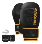 Kit Boxe E Muaythai Bandagem + Luva + Protetor Pretorian Fx2