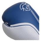 Kit Boxe E Muaythai Bandagem +protetor+ Bolsa Pretorian Fx1